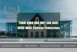 Cấu trúc và độ trong của rượu từ truyền thống tới hiện đại